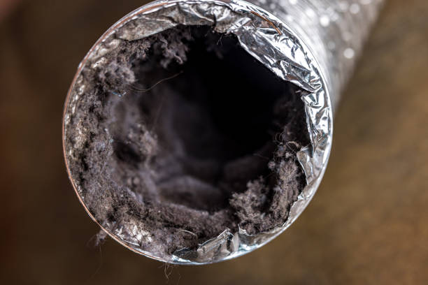 Best Air Duct Cleaning Near Me  in Raleigh Hills, OR